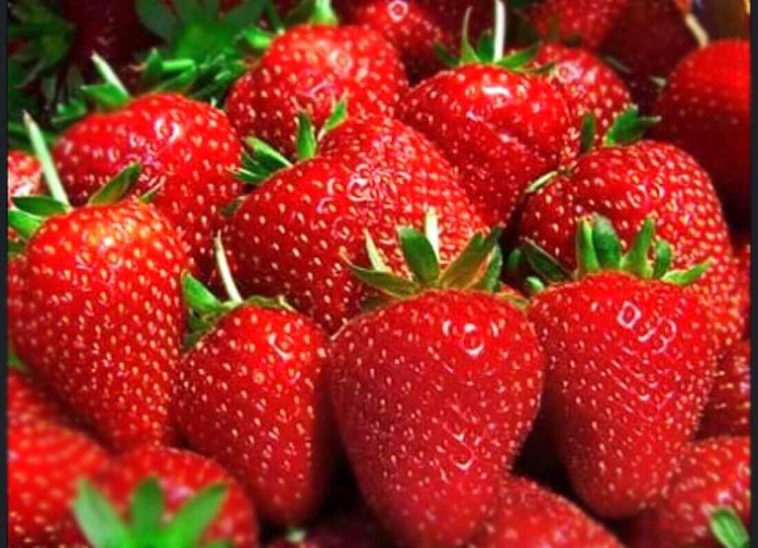 오늘N 2507회 수상한 가족 대구 군위군 딸기 블루베리 주문방법 황후농장 체험문의 왕비로 왔다가 무수리가 된 아내 귀농부부 이야기