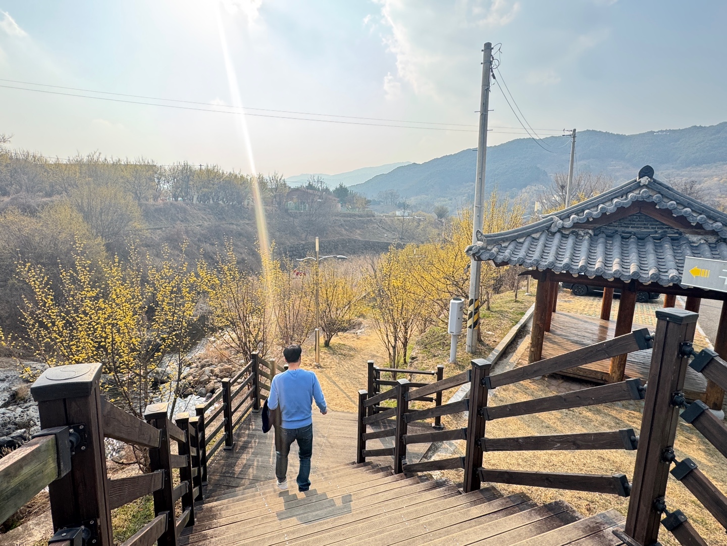 구례산수유축제