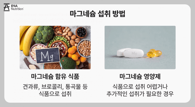 마그네슘 섭취방법