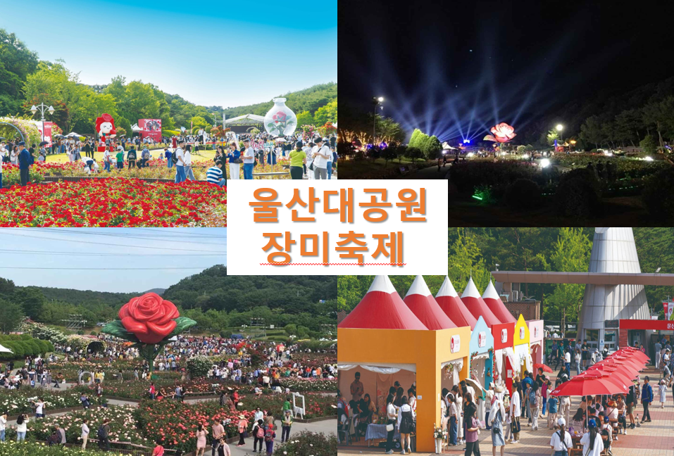 울산대공원 장미축제