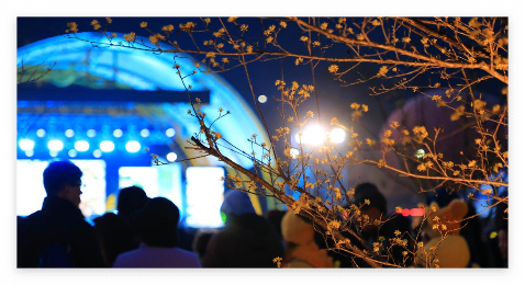 구례산수유축제