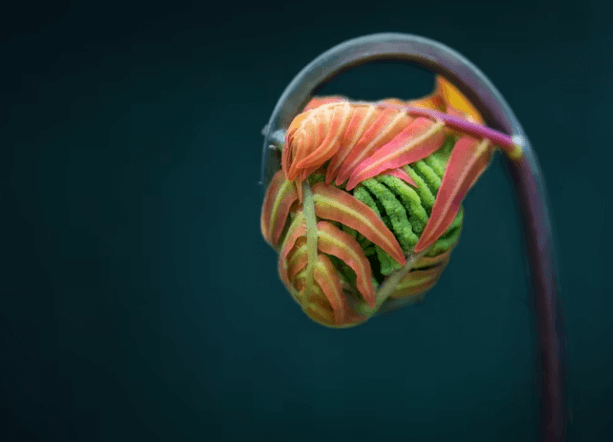 매니에르병 증상과 원인&amp;#44; 고3 수험생 주의해야 할 이유