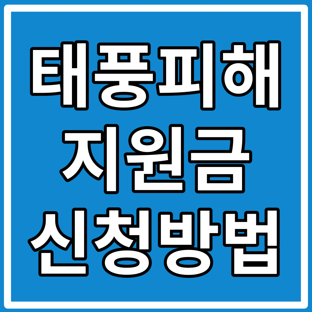 태풍 피해 정부 지원금 신청 방법