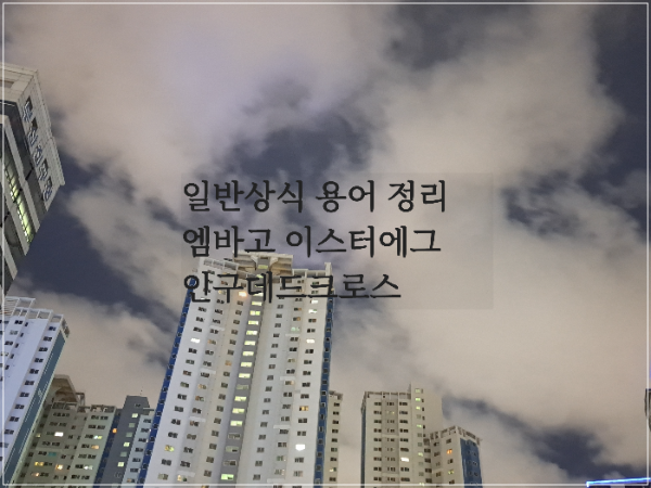 간단한일반상식용어정리데드크로스엠바고이스터에그