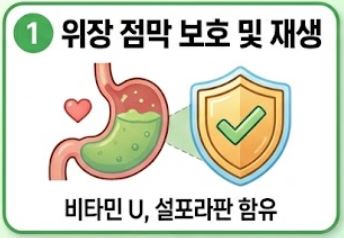 양배추즙의 효능