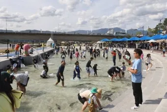 양양 송이연어축제 3년 만에 다시 개최 일정 총정리_16