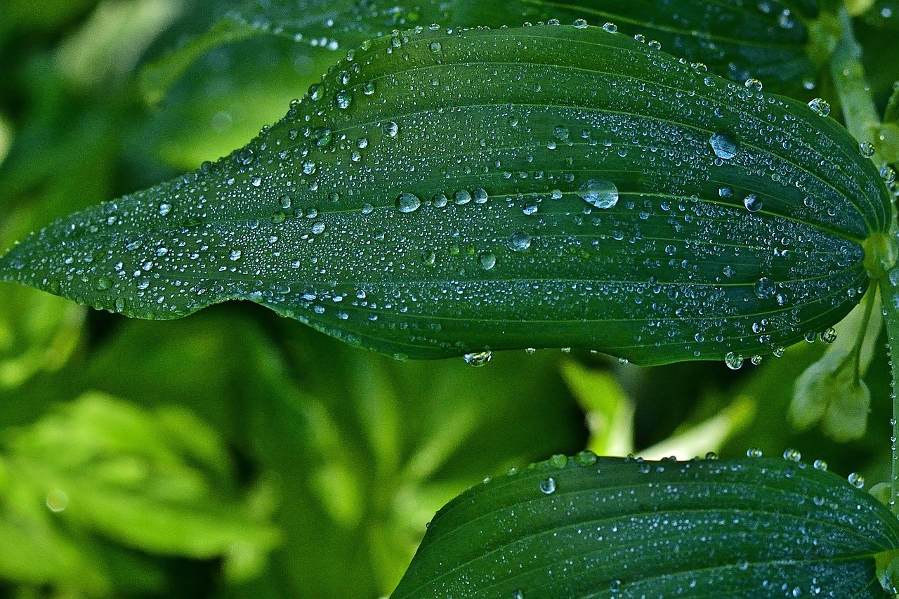 국민취업지원제도신청
