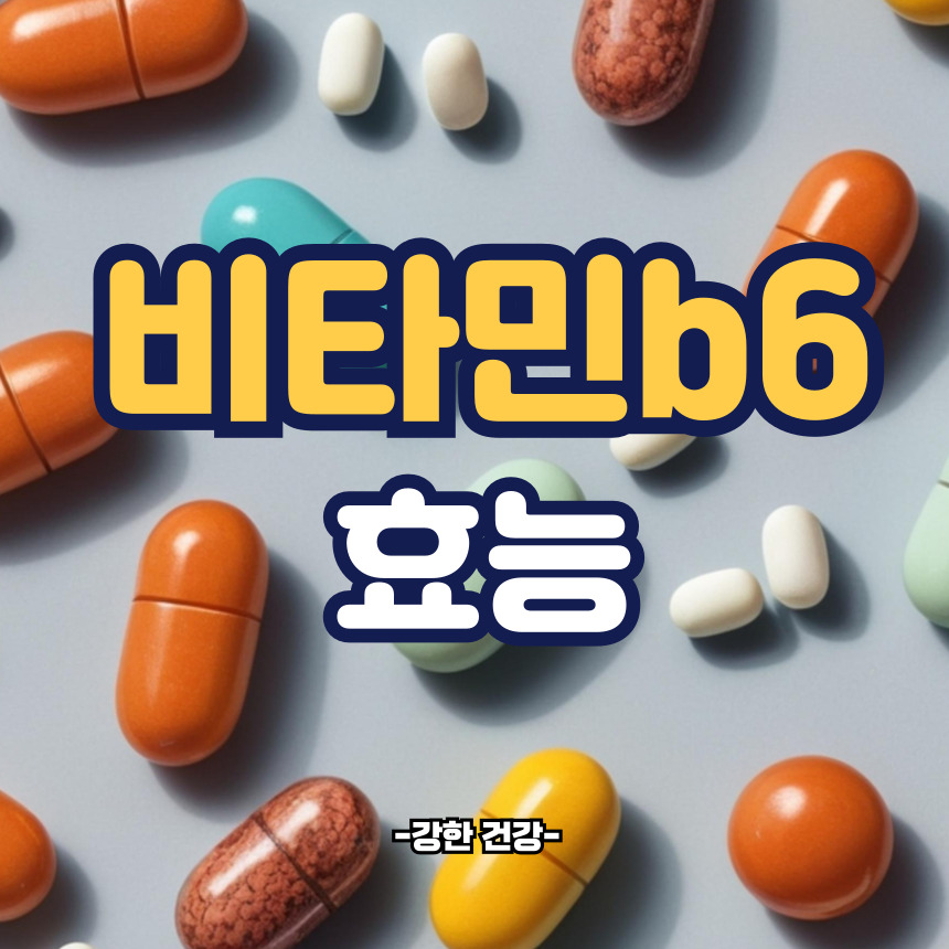 비타민b6 효능
