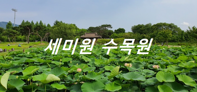 세미원수목원 여행