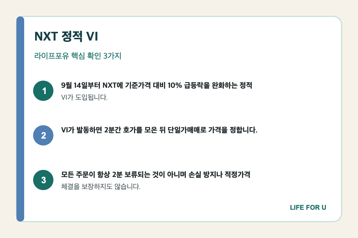 NXT 정적 VI 발동 기준과 동적 VI 차이를 비교한 핵심 요약