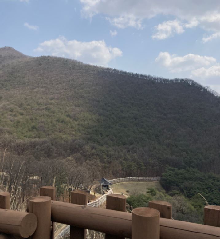 문경오미자테마터널