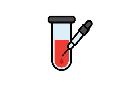 암환자 보호자의 역할