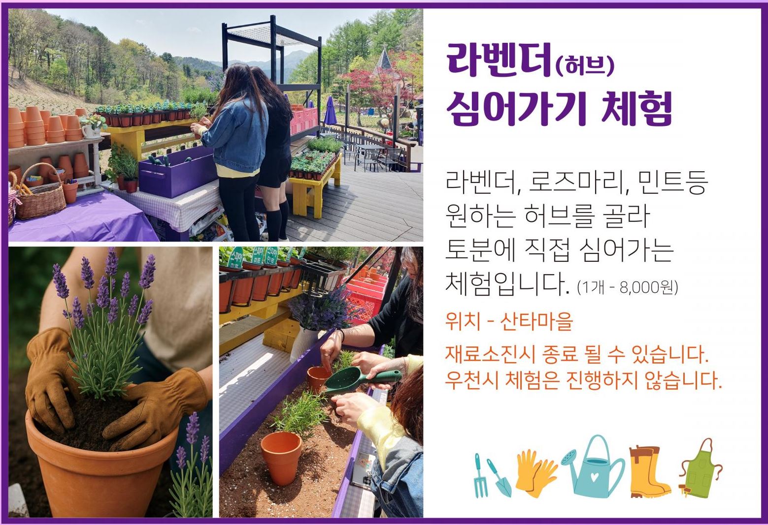 포천 허브아일랜드 라데봄축제