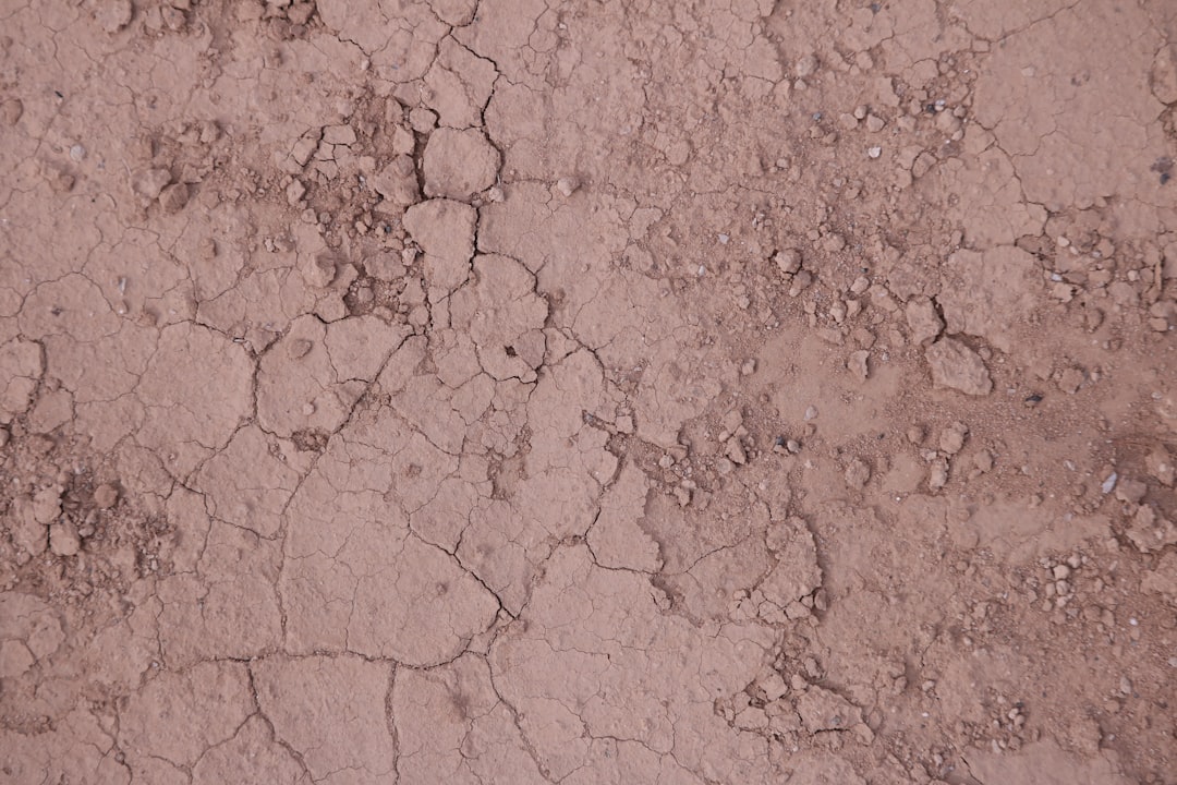 Mud