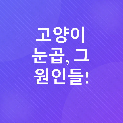 고양이 눈곱_2