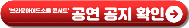 브라운아이드소울 콘서트