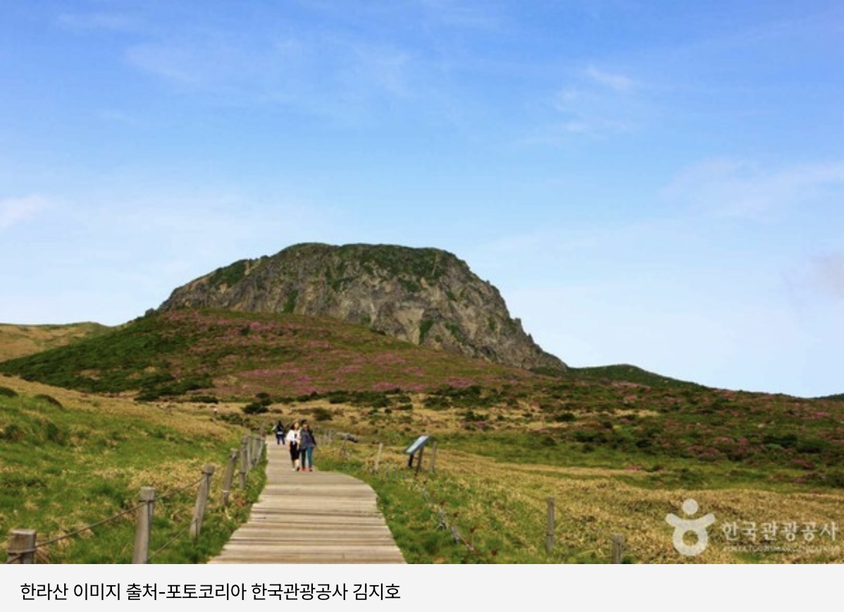 한라산 탐방 사전 예약 방법 &amp; 유의사항 완벽 가이드 (2025 최신)