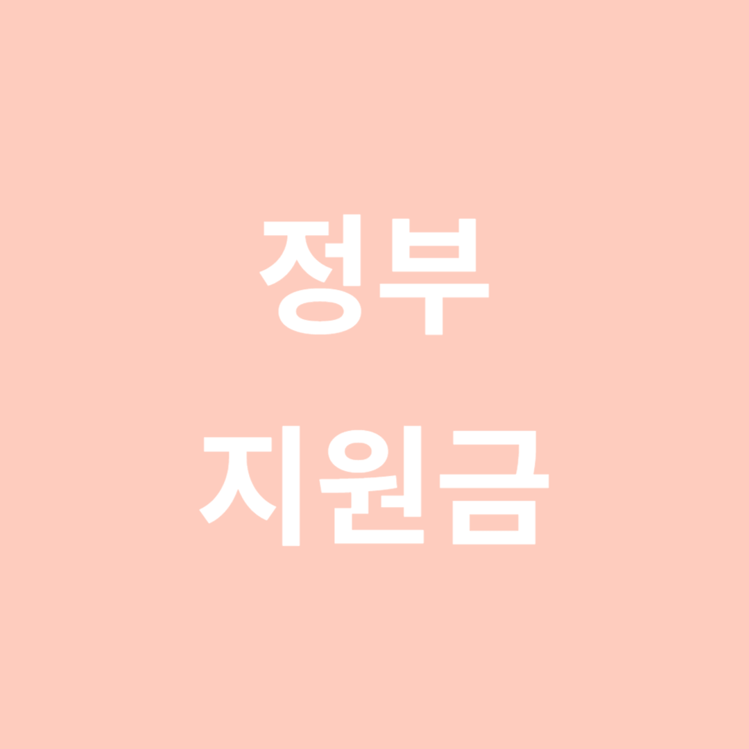 정부지원금