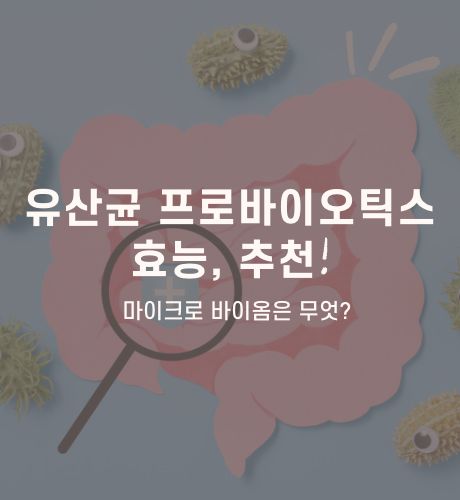 유산균 프로바이오틱스