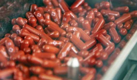 먹는 코로나치료제 관련주 대장주