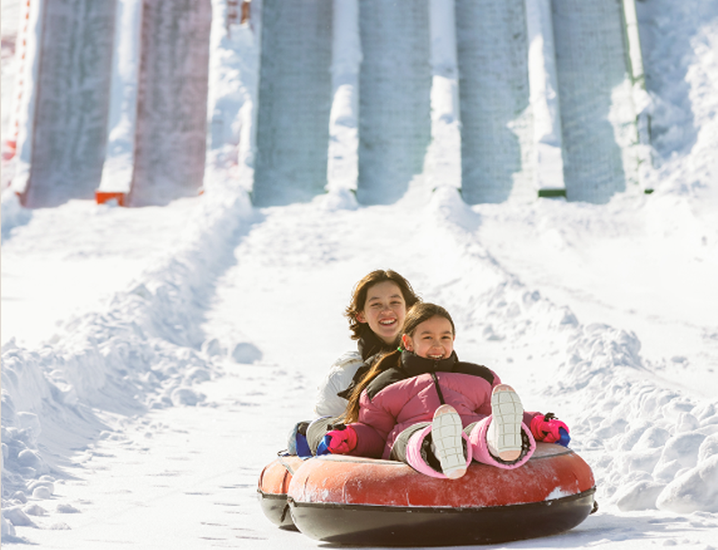 스노위랜드 비발디파크 눈썰매장