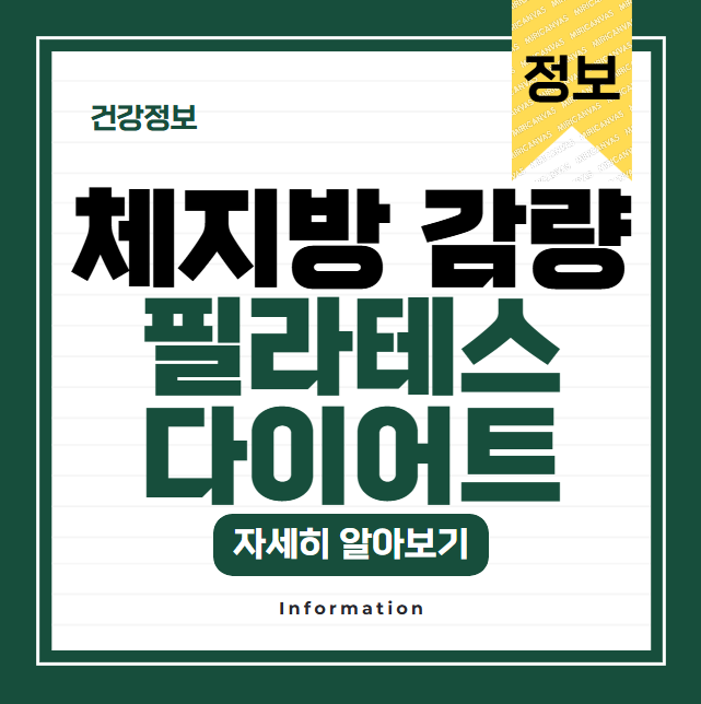 코어 근육 강화와 체지방 감량을 동시에! 필라테스 다이어트 장점