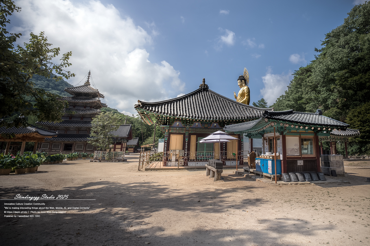 #보은 #속리산 #법주사 #사찰 #불교