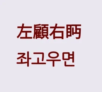 좌고우면 뜻 사용법_12
