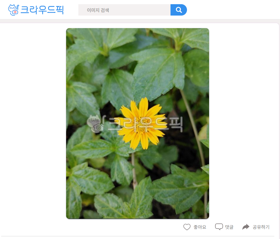 잎과 나무 꽃 관련된 이미지 참고