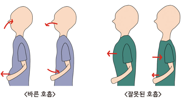 횡격막호흡 제대로 하는 법