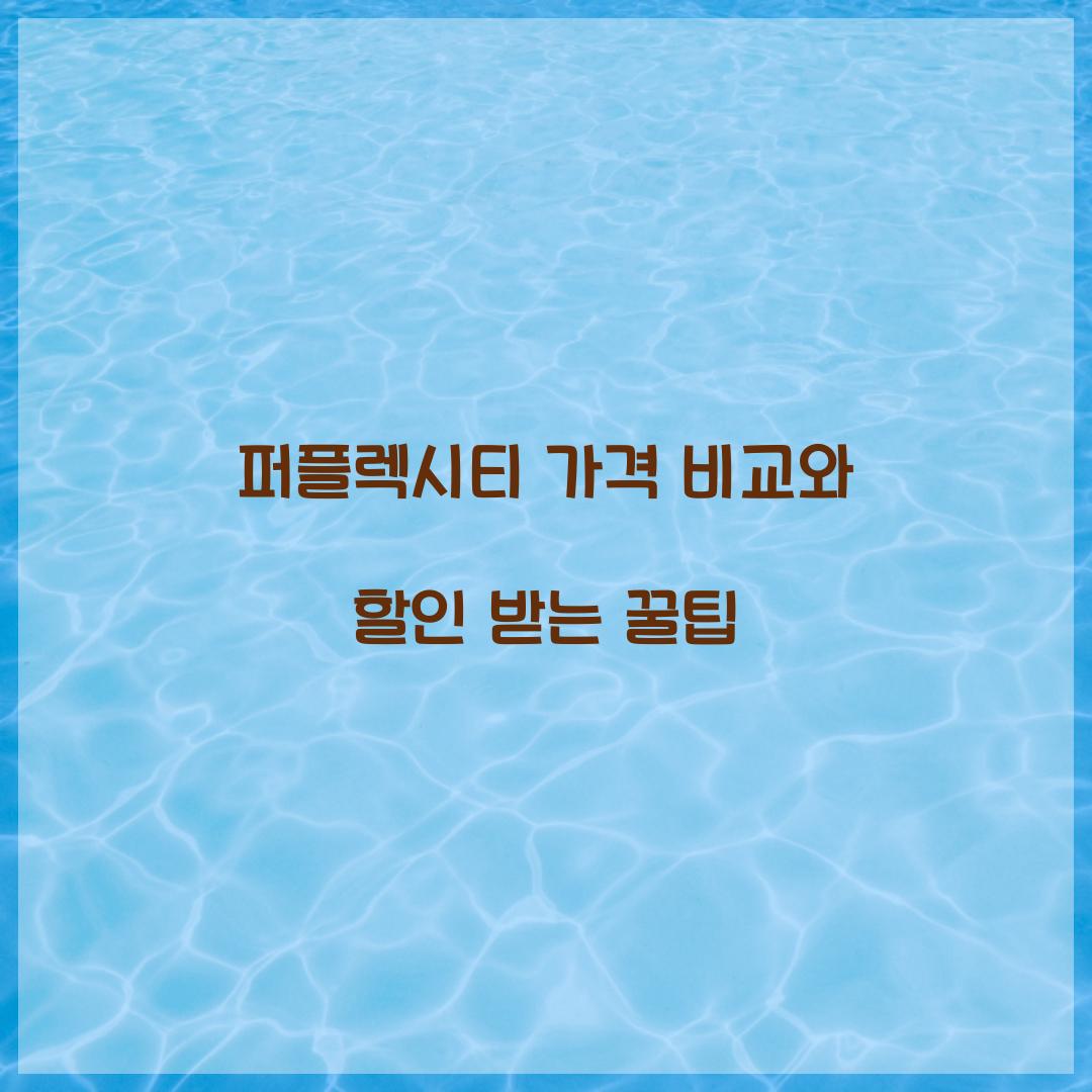 퍼플렉시티 가격