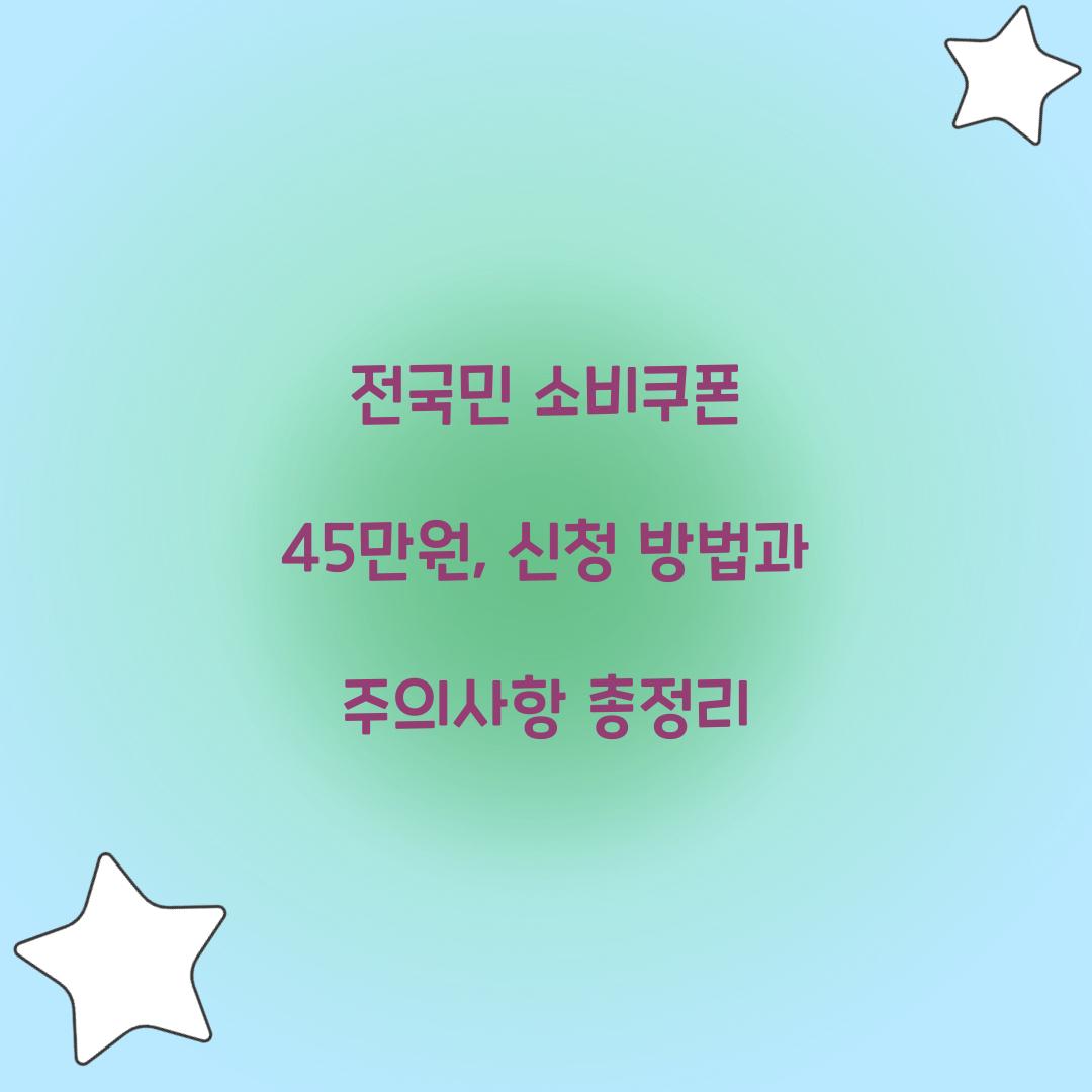 전국민 소비쿠폰 45만원