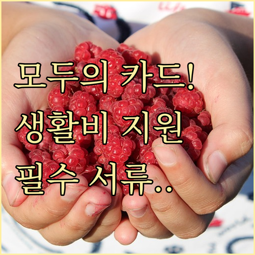 생활비 지원 모두의 카드 자격 요건과..