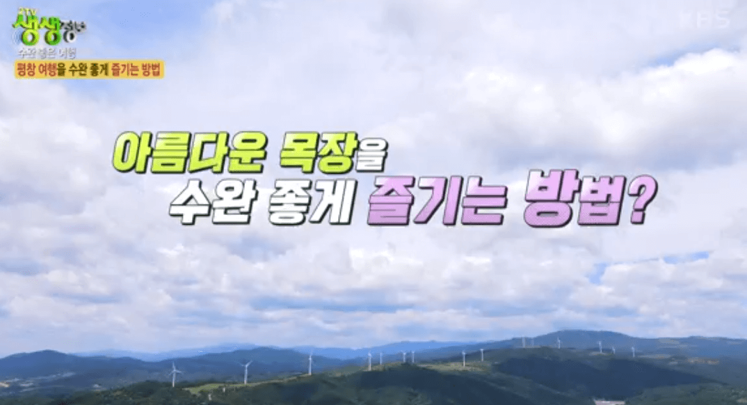 강원도 여행지 할인꿀팁