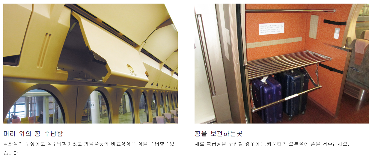 특급 래피드 특징 1