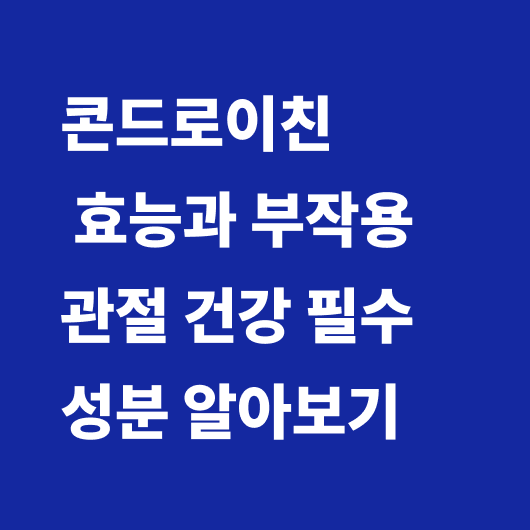 콘드로이친 효능