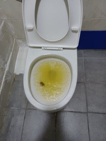 변기가-막혀-넘치기-직전