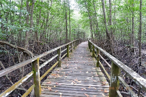 코타키나발루 습지 센터