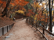 단풍여행 1박2일 버스 단풍구경