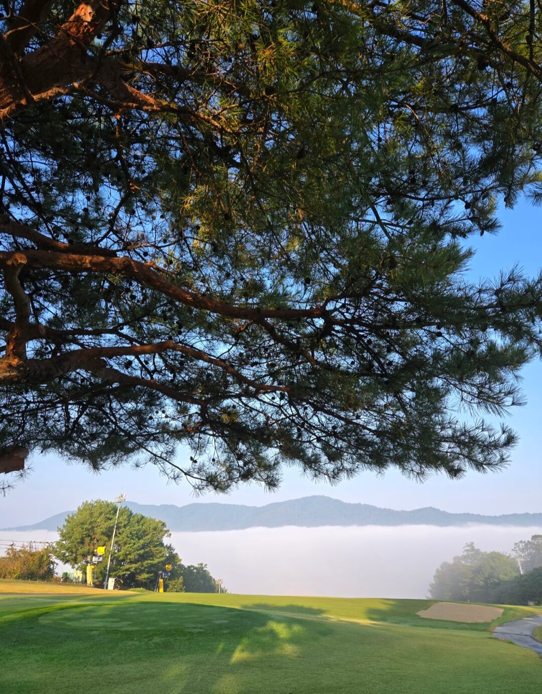 소노펠리체CC비발디파크마운틴 전경