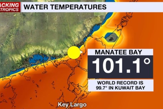 플로리다 수온 최고기록