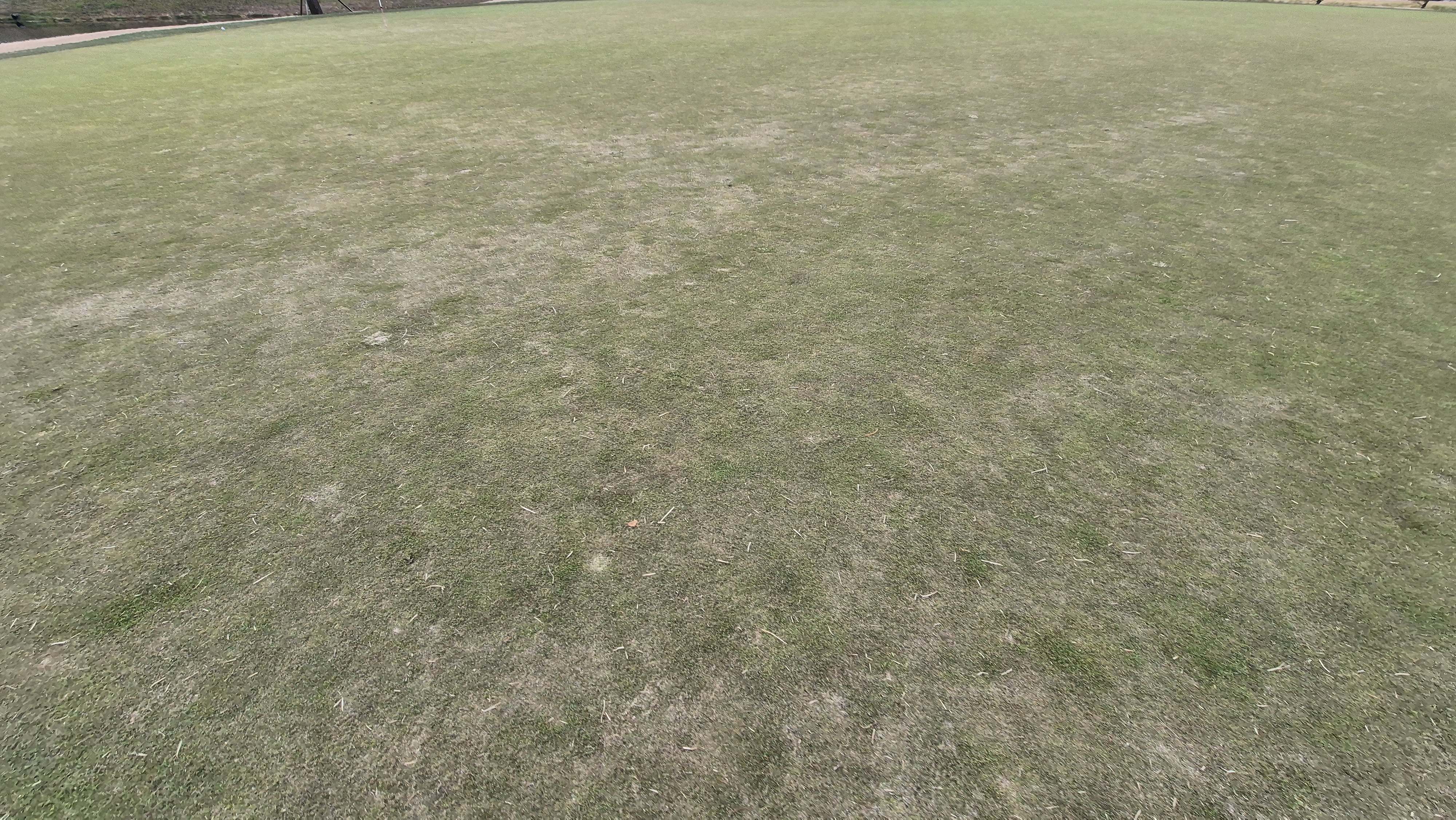 힐데스하임 레이크-힐 코스 그린관리 상태