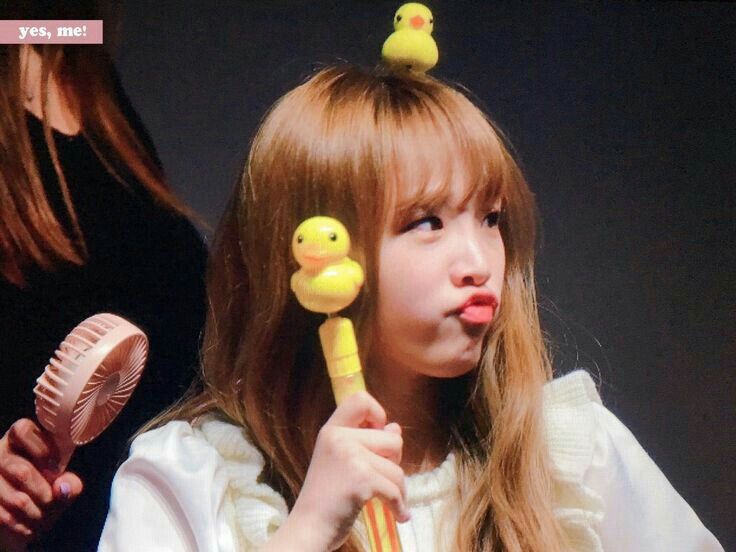 아이즈원 최예나 귀여운 매력어필