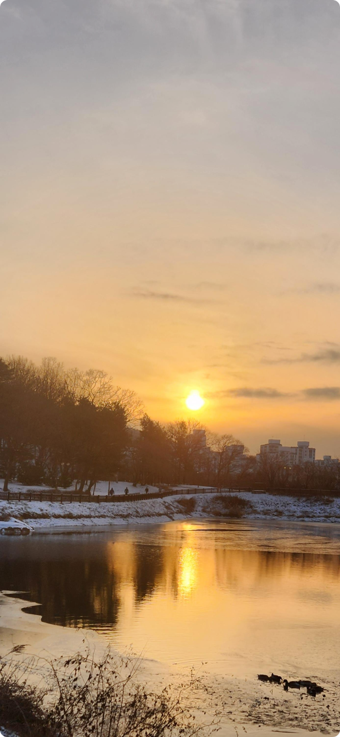 율동공원 나폴레옹