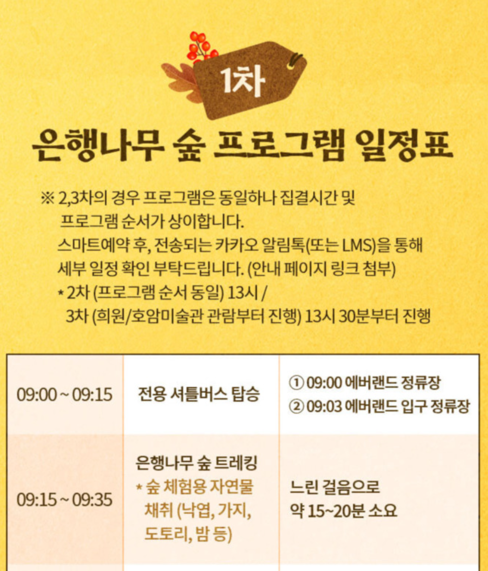 비밀의 은행나무 숲 프로그램 소개