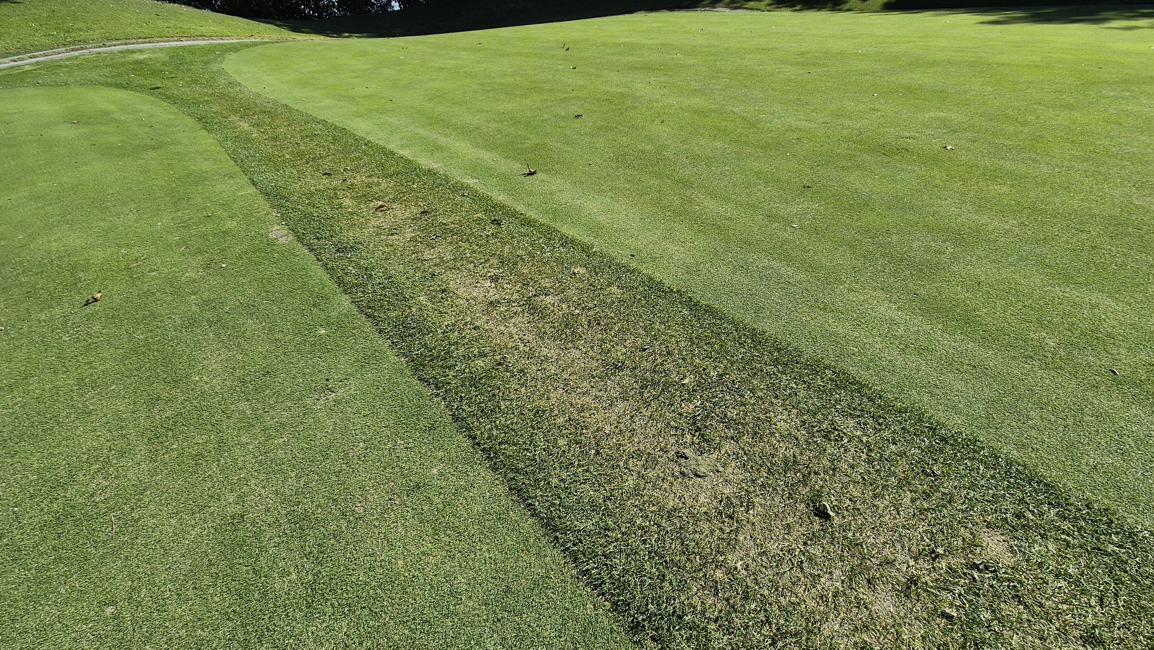 떼제베cc 동-북 코스 그린 관리 상태