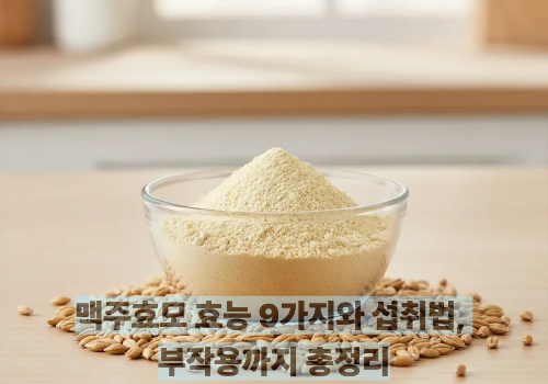 맥주효모 효능 9가지와 섭취법, 부작용까지 총정리