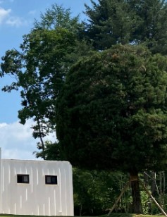 동두천 자연휴양림 숲나들e 국내 여행지 추천 관련사진