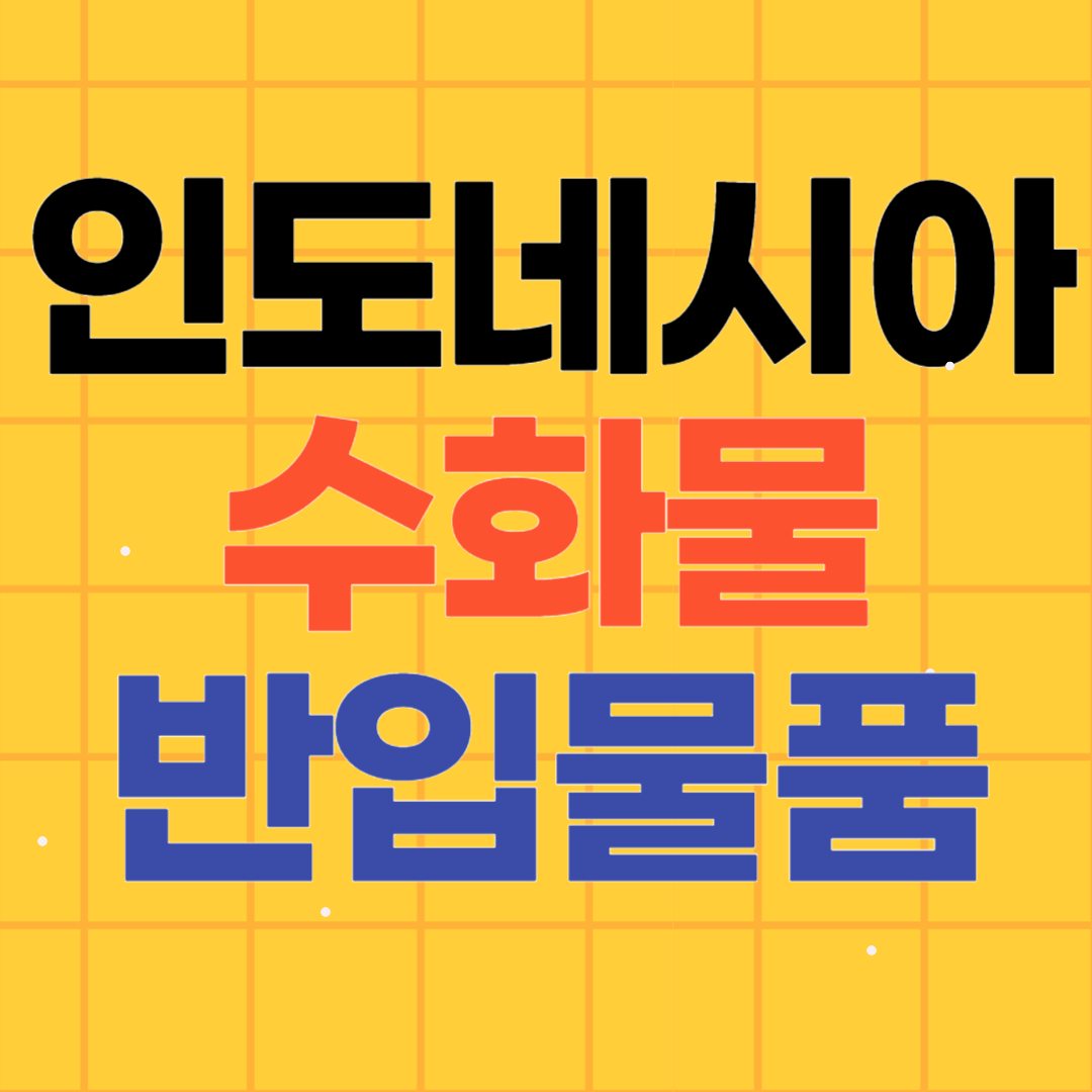인도네시아 발리 수화물 반입 물품