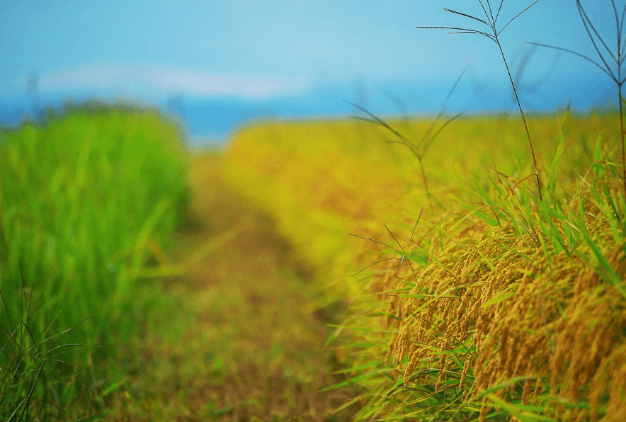 숙박세일페스타 관련 이미지